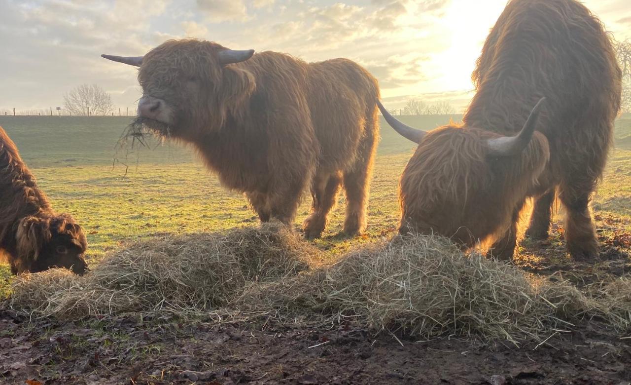 Vakantiehuis In Paradijselijke Sfeer Met Privemeertje Kleve  Bagian luar foto